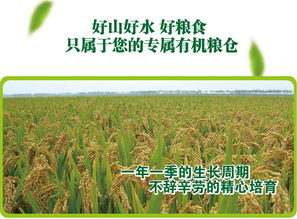 东北特产黑龙江五常农家自产有机稻花香大米5kg礼盒 真空包装 包邮